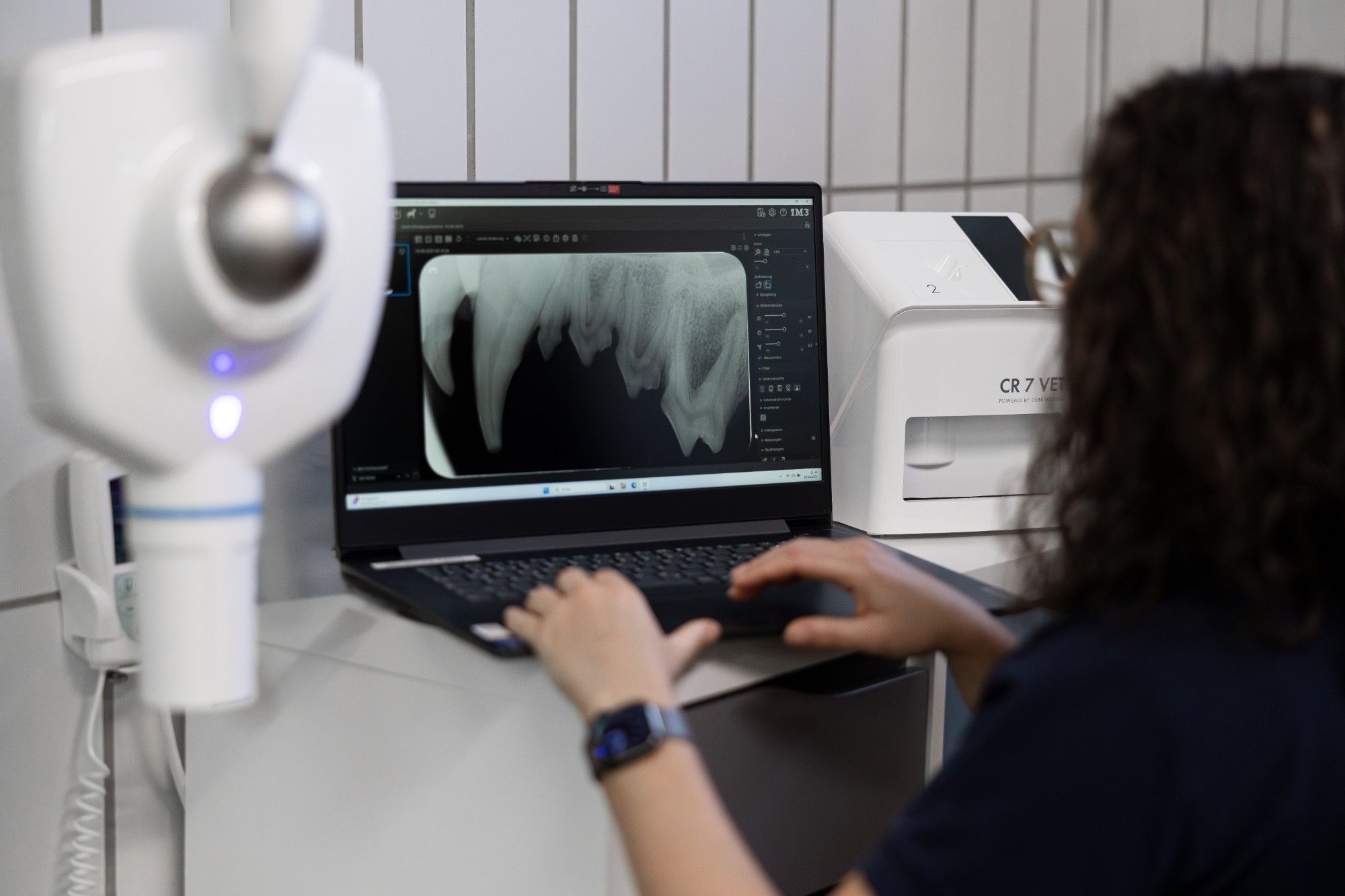 Tierärztin wertet ein Dentalröntgenbild am Laptop aus.