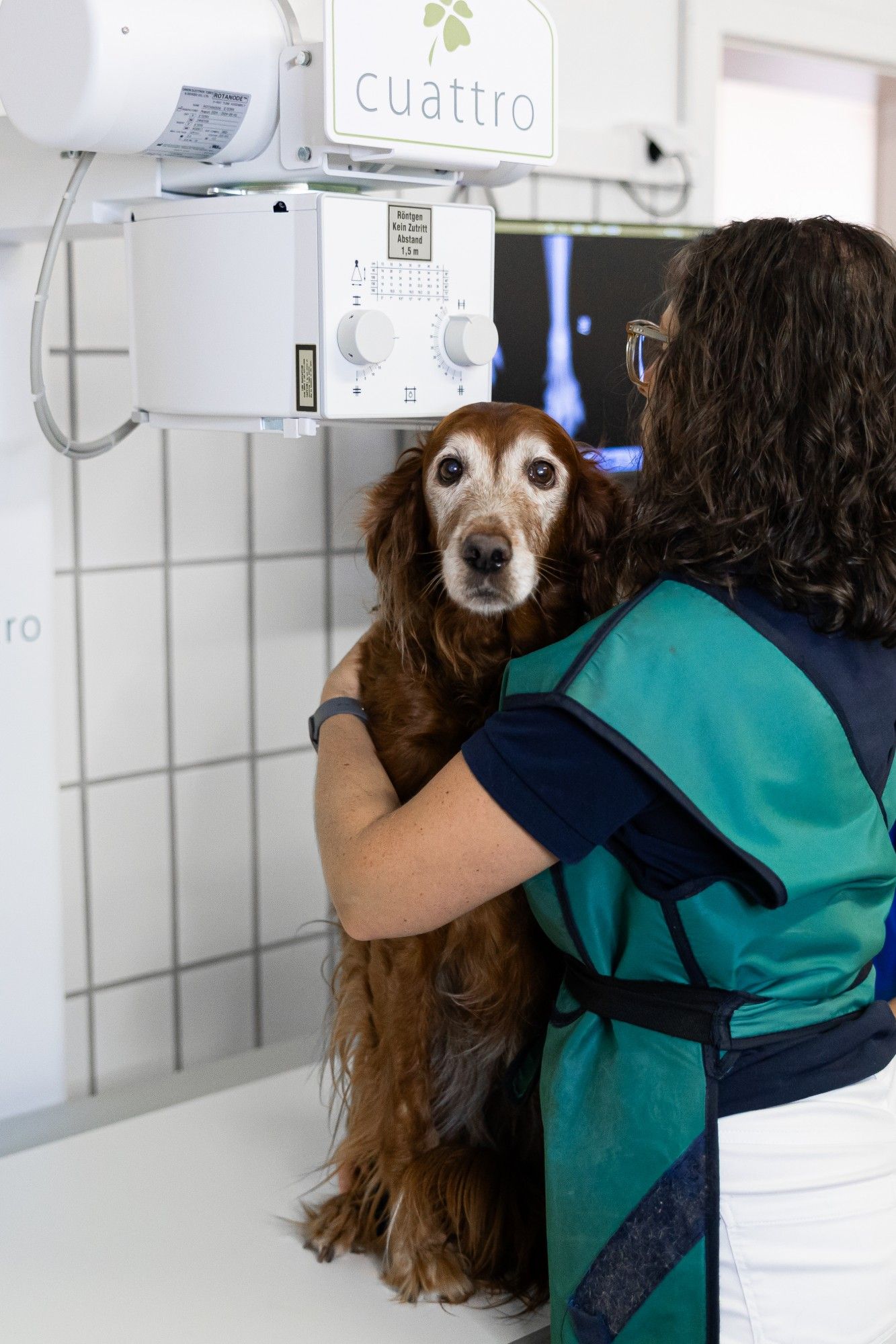 Tierärztin hält einen Hund beim Röntgen.