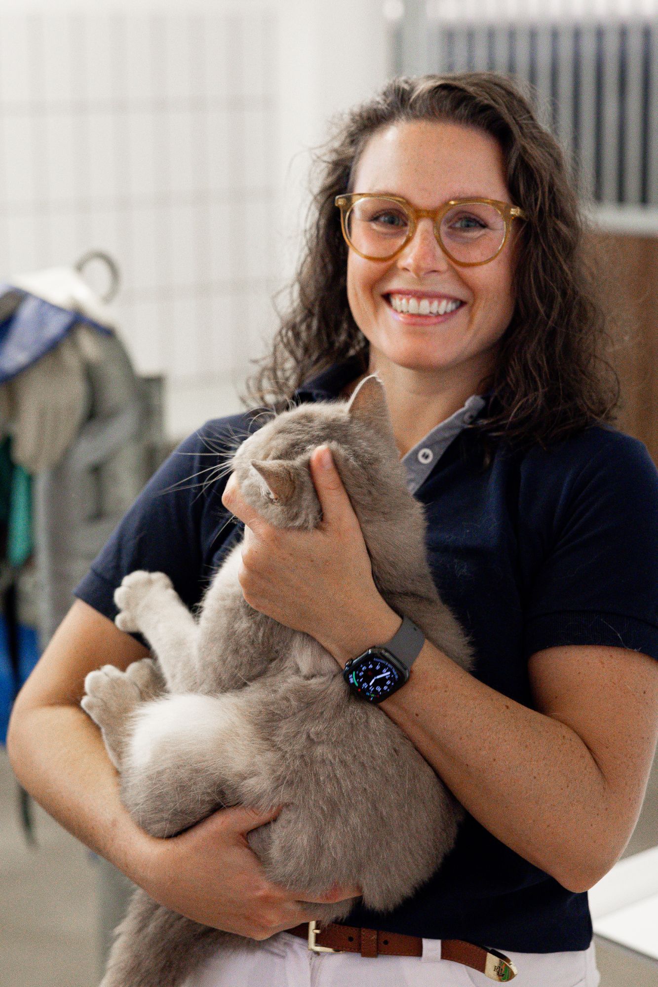 Lachende Tierärztin hält eine graue Katze im Arm.