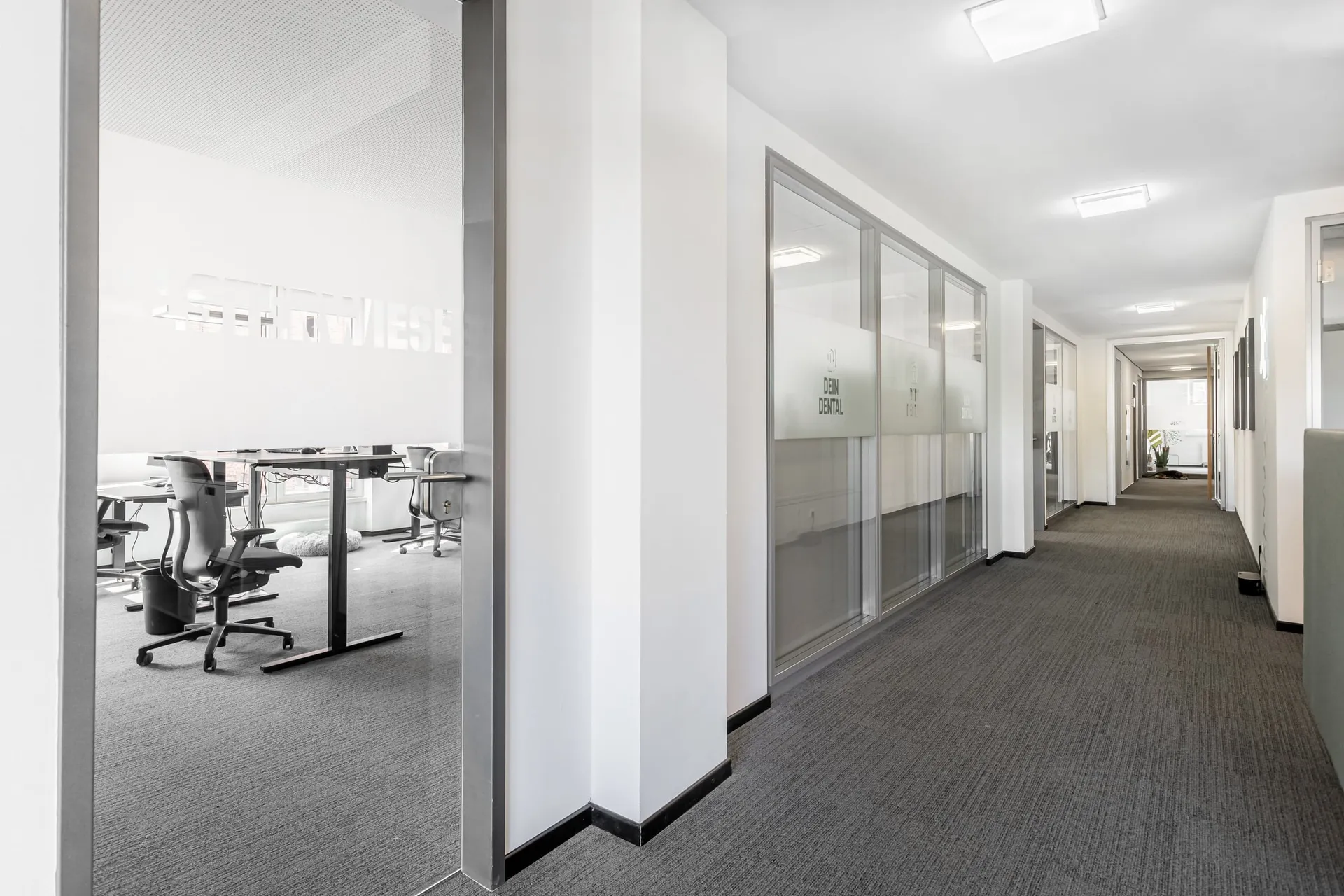 Arbeitsalltag in der Zentrale von Dein Dental.